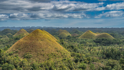 Many amazing conical hills covered with brownish grass extend in the valley to the horizon. Tropical thickets all around. Clouds in the blue sky. Philippines. Bohol. Chocolate Hills Natural Monument