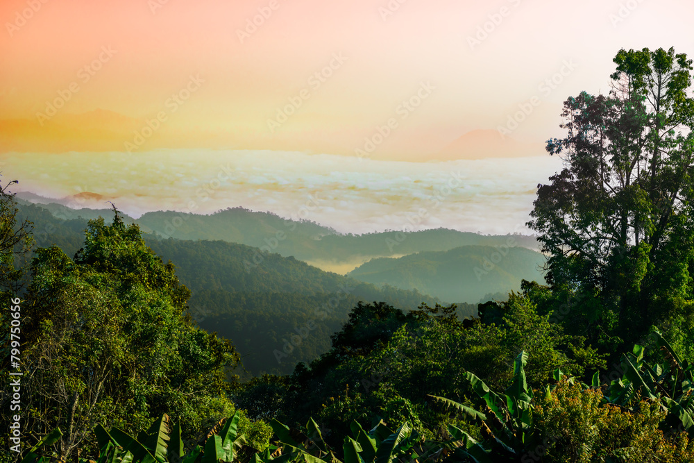 Sticker Sea of ​​fog at Huai Nam Dang National Park