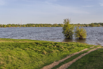 Flood in Kazakhstan. Flooded trees in an artificial lake after a flood. Flooded steppe in spring as...