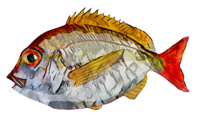 手描き