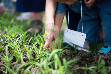 A child planting trees and plants in a garden during summer, with hands working outdoors,...