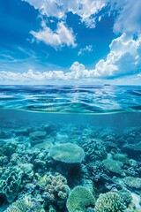 Naklejka na ściany i meble Underwater Coral Reef: Serene Beauty Below the Surface