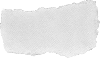 White Torn Paper Piece
