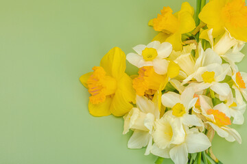 Festive spring composition with assorted blooming narcissus and homemade wicker basket
