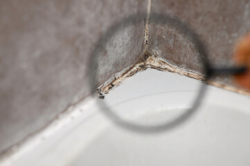 Inspector using a magnifying glass while inspecting poor-quality sealant in a bathroom covered in black mold, close-up. Mold in bathroom, problem of excessive dampness and humidity, health hazard © GRON777