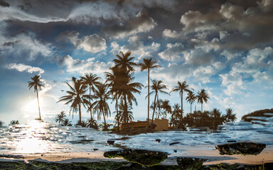 Abstract scene of upside down coconut trees with resort on rock beach reflecting on water surface.