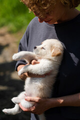 Portrait of a girl with a puppy, a woman of European appearance with curly hair holds a cute white puppy in her arms.