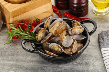 Raw vongole clams for cooking