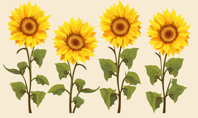 sunflowers vector flat minimalistic isolated vector style illustration