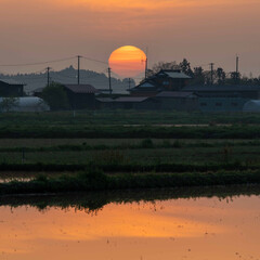田植え前の日の出