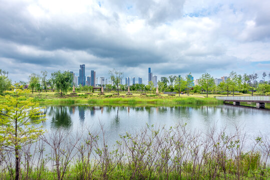 시냇물 너머로 고층 빌딩이 보이는 국립세종수목원의 풍경Scenery of the National Sejong Arboretum with high-rise buildings visible across a stream