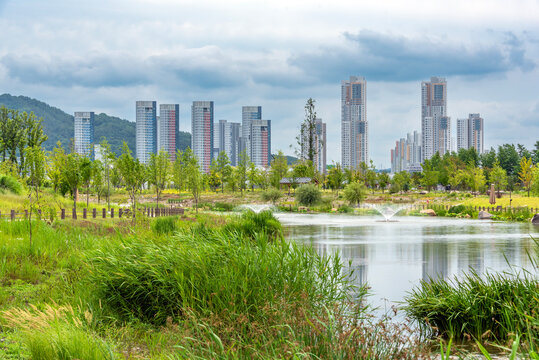 고층아파트가 보이는 국립세종수목원의 전경-Panoramic view of the National Arboretum, Sejong, with a view of high-rise apartments