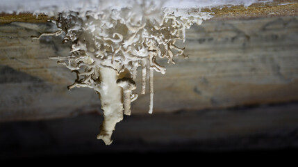 Unique Stalactite Formation in Cave Illuminated by Soft Light