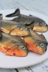 5 raw pomfret in a white plate on the table

