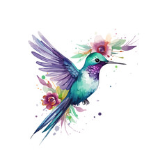 Obraz premium watercolor Hummingbird clipart for graphic resources -