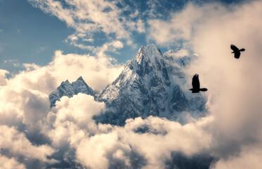 Flying birds against mountain with snowy peak in clouds