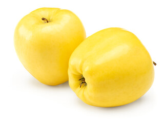 two yellow apples isolated on white background. clipping path