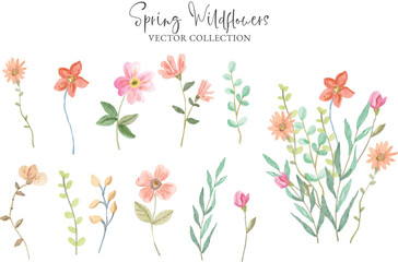 Watercolor Spring Floral Vector Collection