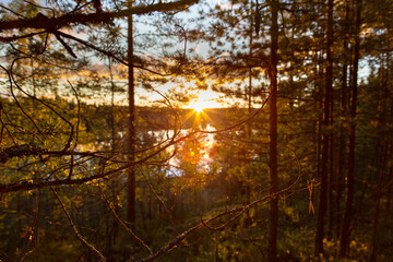 Obraz premium sunset in the forest in Finland