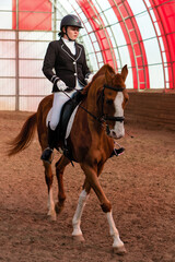 Dressed rider on horse in riding school