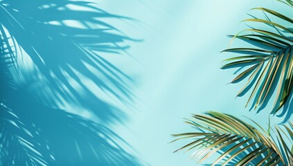 Fototapeta na wymiar Beautiful palm tree leaves with shadow on blue background