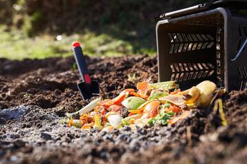 Homemade organic compost. Environmentally , ecological, recycling waste concept.