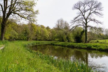 Vue des rives du canal à Brest au printemps, bordées de verdure luxuriante et d'iris d'eau en fleurs en Bretagne.
