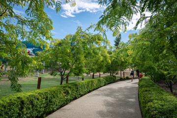 Obraz premium path in the garden