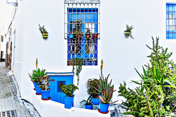 Typical white houses with blue windows and doors in the beautiful town of Nijar, Almeria, Andalusia	