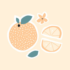 Orange and orange slice set.