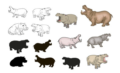 Color and black and white illustration of a hippo. An isolated vector object on a white background.