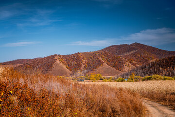 Autumn scenery of Moon Town, Zhalantun, Hulunbuir, Inner Mongolia Autonomous Region, China