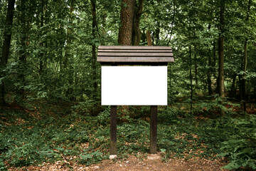 Nature signpost with information in the woods mockup