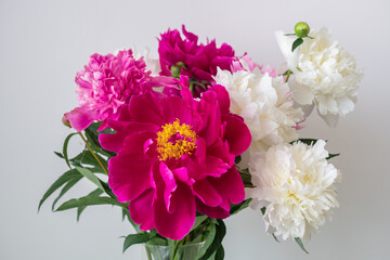 close-up photo of flowers white and pink peonies	
