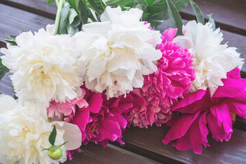 close-up photo of flowers white and pink peonies