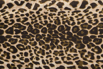 Leopard Pattern Background