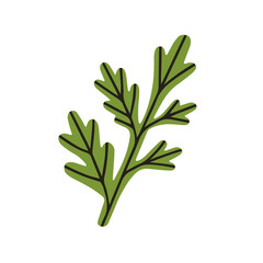 Green leaf. Floral botanical decor, natural greenery. Leaves, fresh plant, summer flora, parsley. Abstract organic design element. Flat graphic vector illustration isolated on white background