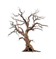 Dead tree with knotty branches isolated on transparent background. Generative AI