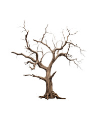 Obraz premium Dead tree with knotty branches isolated on transparent background. Generative AI