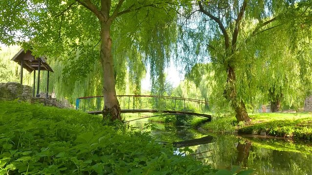Foliage park on the shore of Seret river. Wonderful  summer scene of Topilche Park in Ternopil city, Ukraine, Europe. Beauty of nature concept background. 4K video (Ultra High Definition).