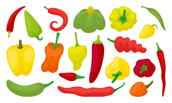 Cartoon bell peppers. Sweet paprika, pepper yellow, green and red. Fresh vegetables, raw ingredients for cooking. Healthy neoteric vector food