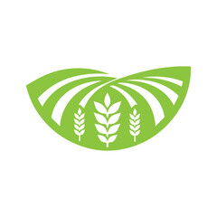 agriculture field vector