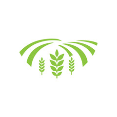 agriculture field vector