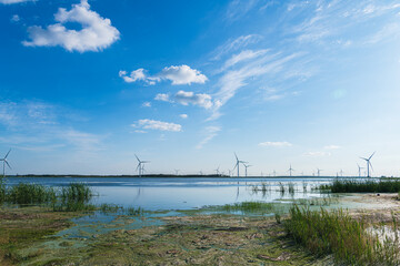 Fototapeta na wymiar Wetland wind power generation in Daqing City, Heilongjiang Province