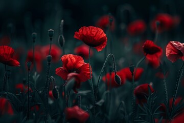 Dramatic dark lighting illuminates a field of vibrant poppies, casting a moody ambiance.