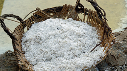 huge salt fields near kampot