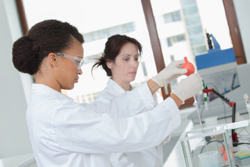 two young female scientist doing experiments in lab