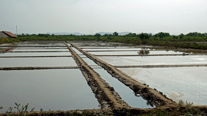 huge salt fields near kampot