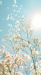 Obraz na płótnie Canvas white baby's breath flowers pattern flying against sunny sky