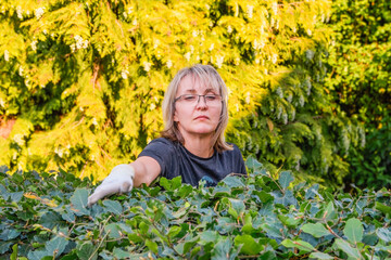 A woman checks the level of pruning of bushes in the summer garden
